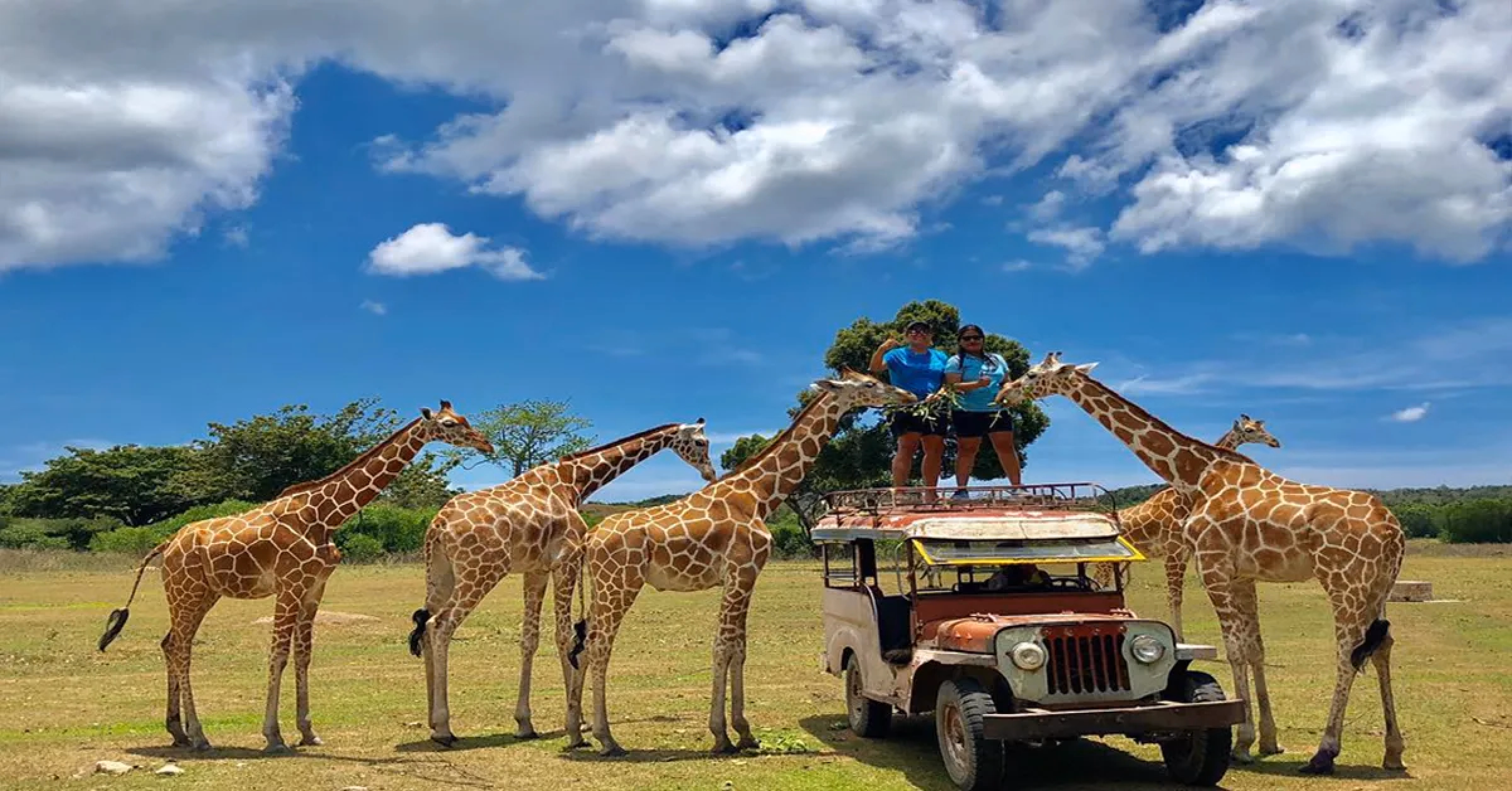 Calauit Safari & Busuanga Countryside Tour