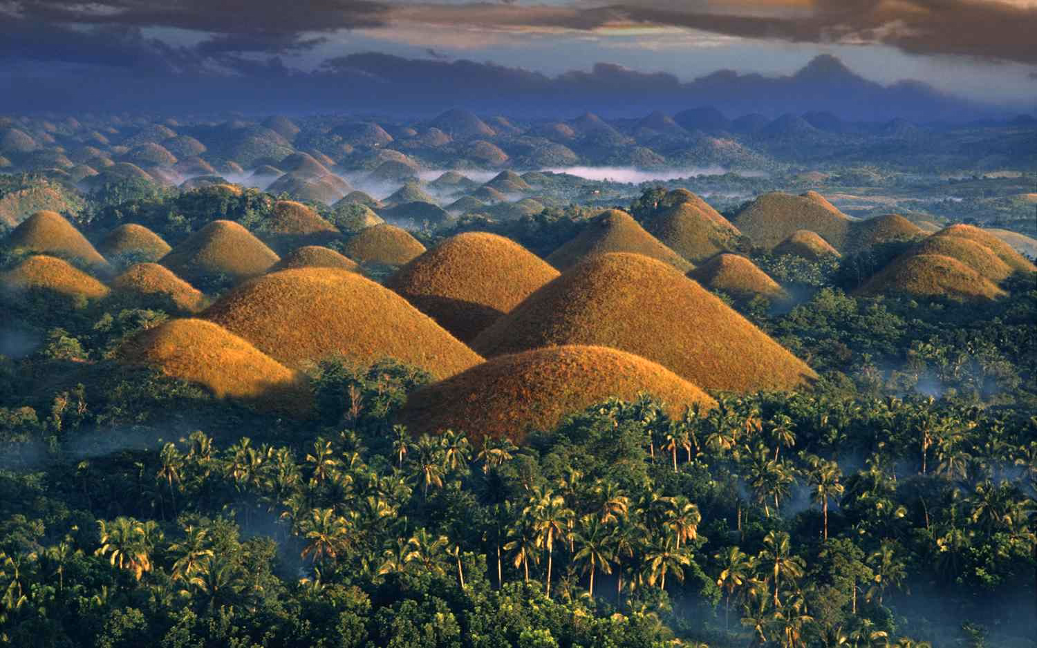 image-https://cdn.palawanwebsolutions.com/clarkkent/bohol/countryside/chocolate.avif1
