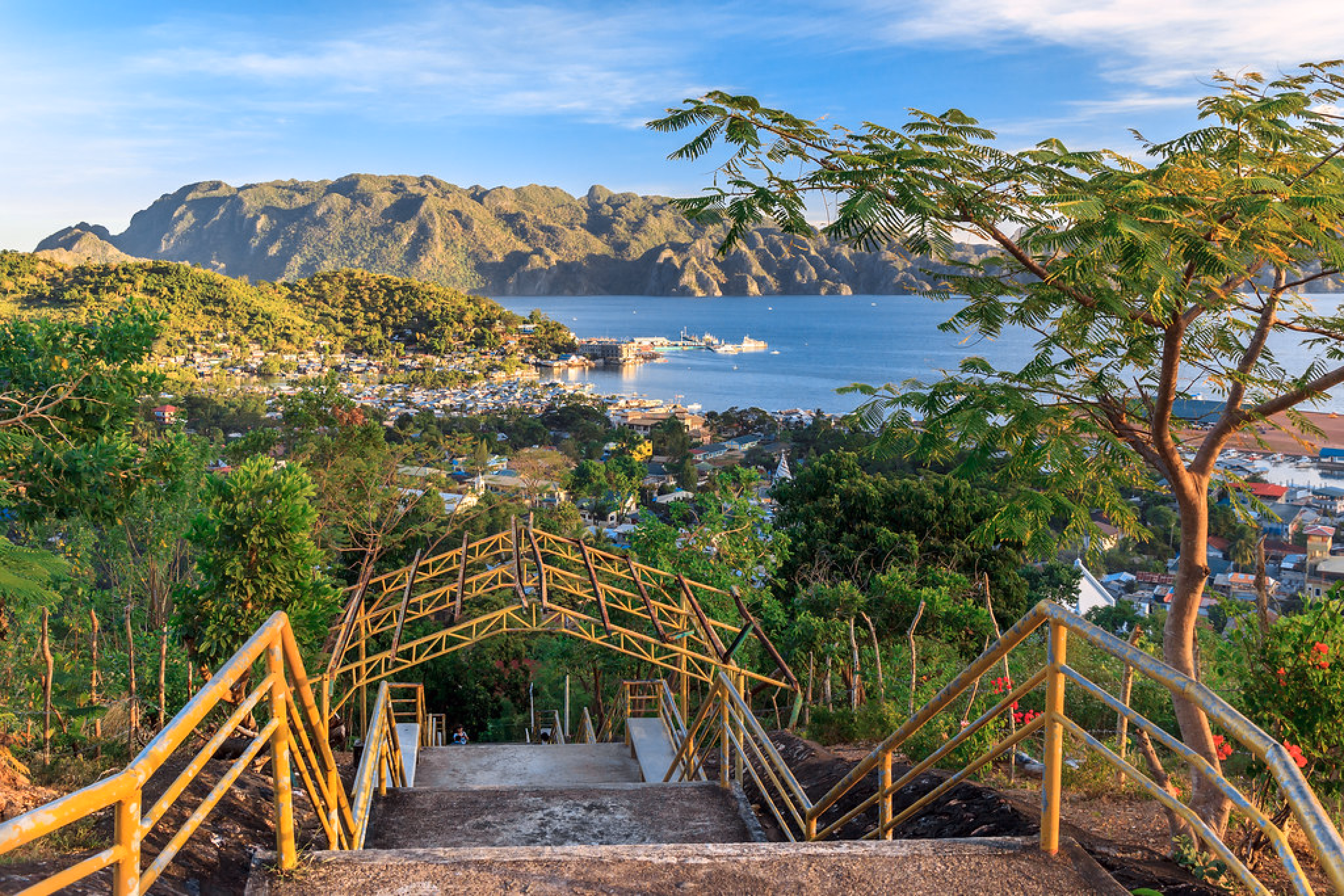 image-https://cdn.palawanwebsolutions.com/clarkkent/coron/calauit-safari-tour/busuanga.avif1