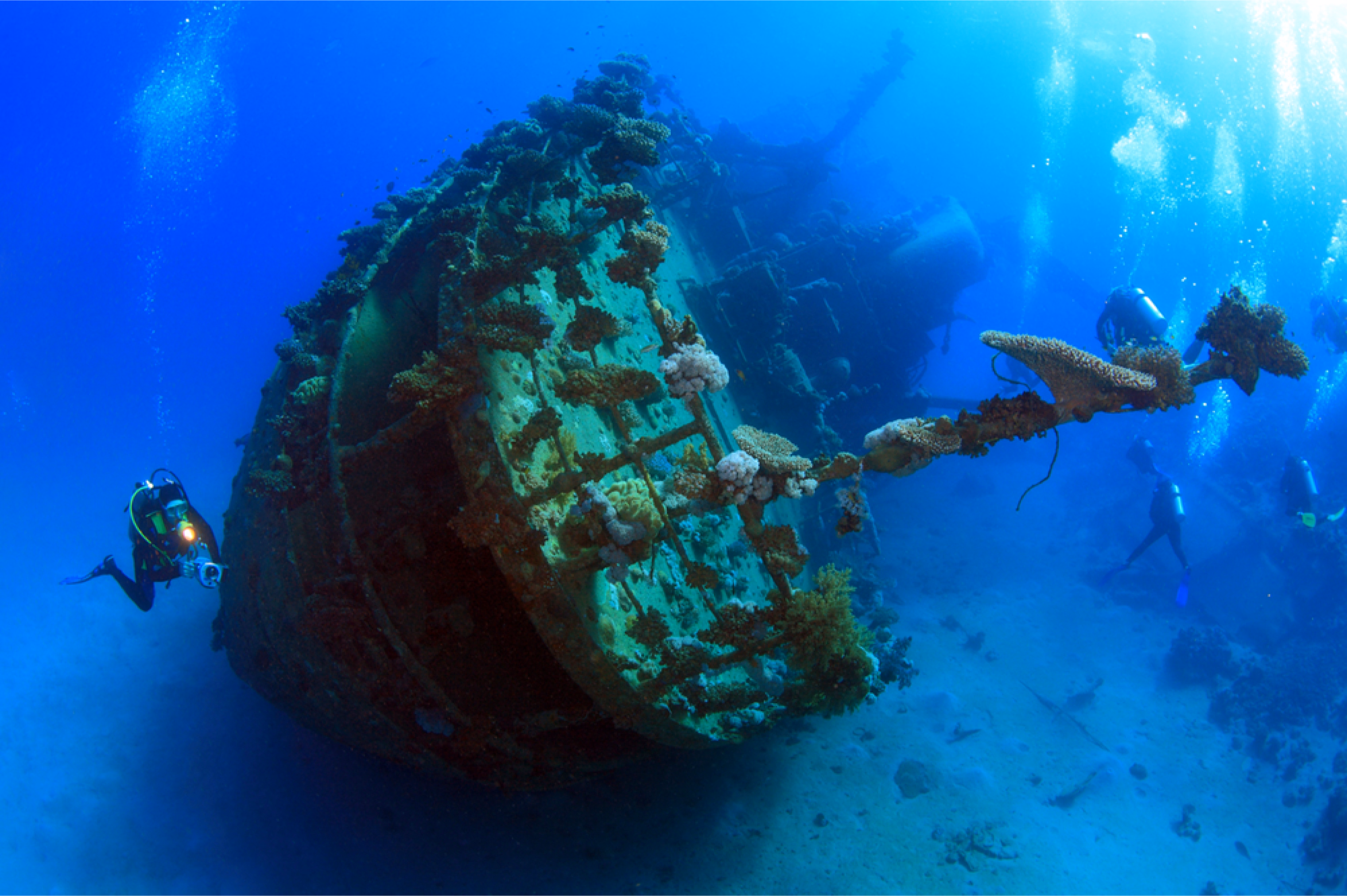 image-https://cdn.palawanwebsolutions.com/clarkkent/coron/reef-and-wrecks/tangat.avif1