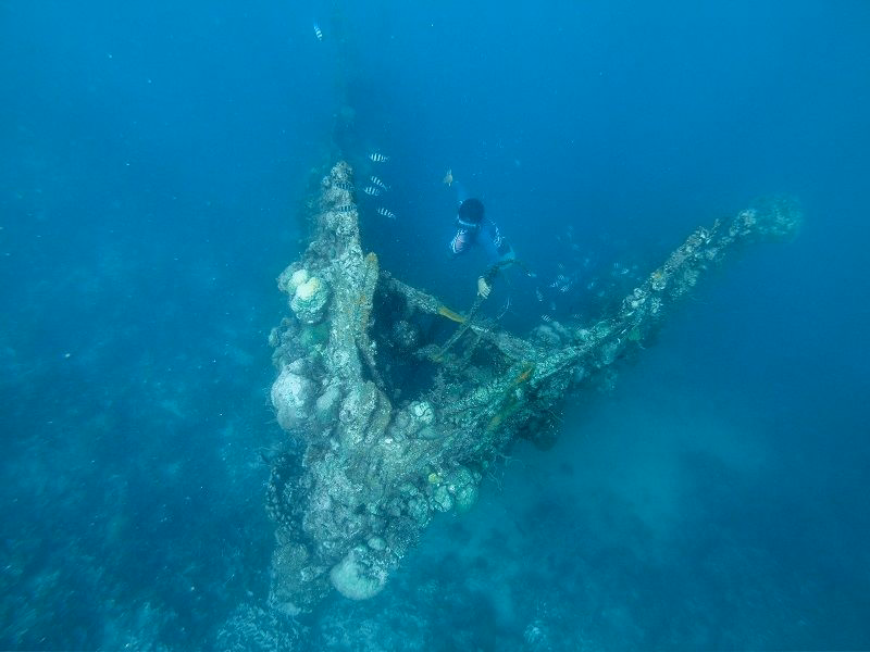 image-https://cdn.palawanwebsolutions.com/clarkkent/coron/sut/skeleton.avif1
