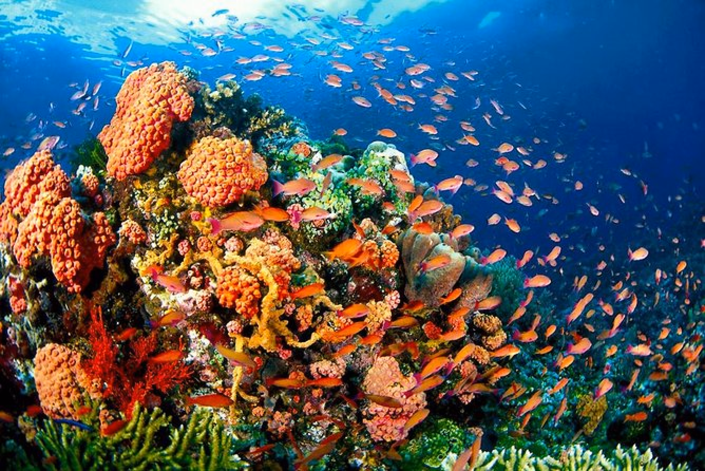 image-https://cdn.palawanwebsolutions.com/clarkkent/coron/tour-a/quin.avif1