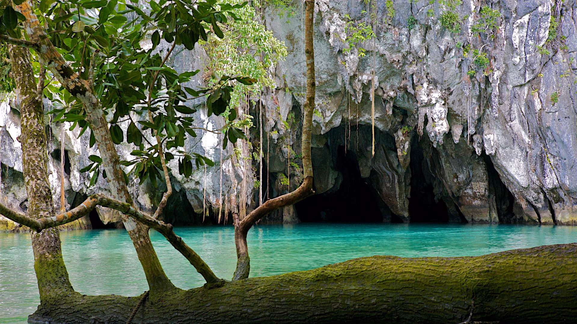 image-https://cdn.palawanwebsolutions.com/clarkkent/private-underground/natural.avif1